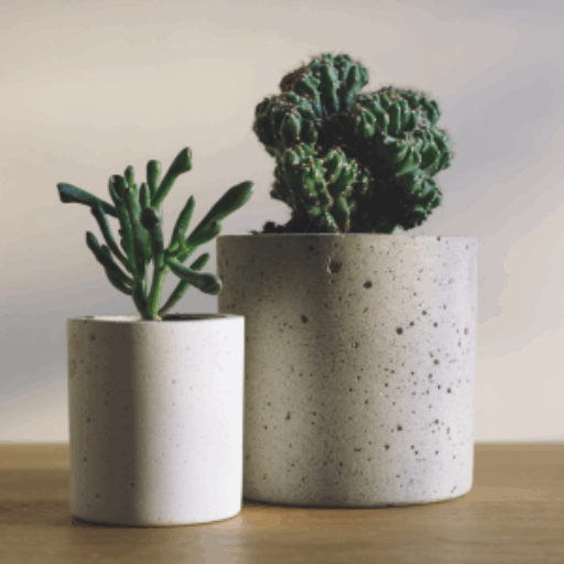 cropped garden home