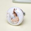Rabbit Drawer Knobs for Cabinets & Dressers – Set of 10 2 Rabbit Drawer Knobs for Cabinets & Dressers – Set of 10